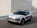 C4 Cactus