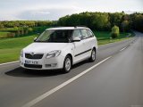 Fabia Combi