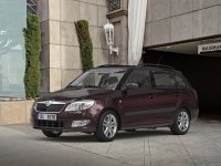 Fabia Combi