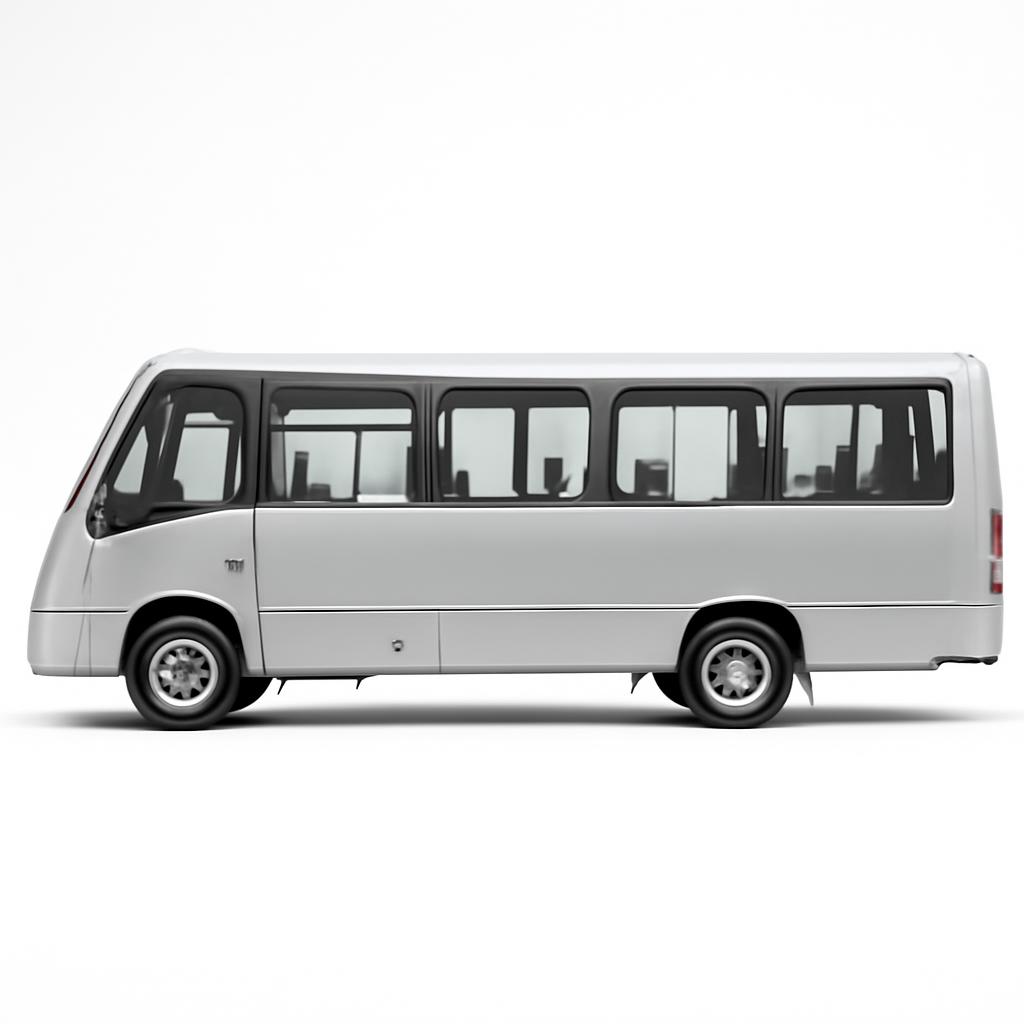 Agrale Omnibus
