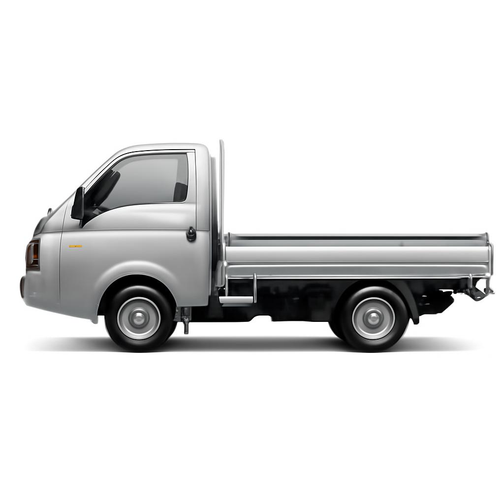 Hyundai H-100
