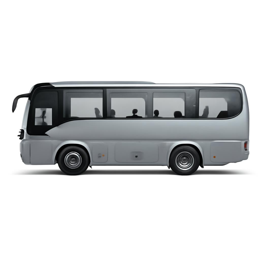 ZHONGTONG LCK6959D5NZ